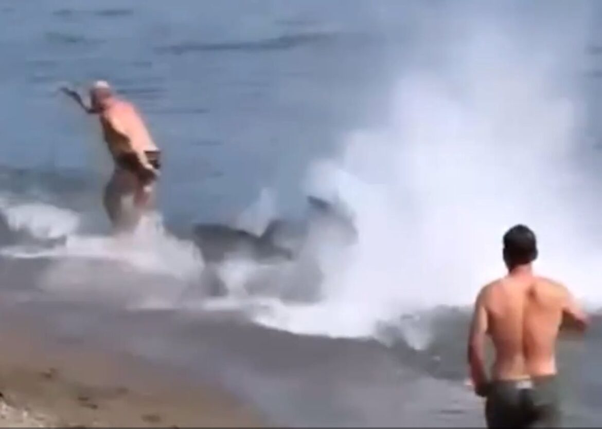 Man wordt achtervolgd door enorme tonijn bij strand Marbella
