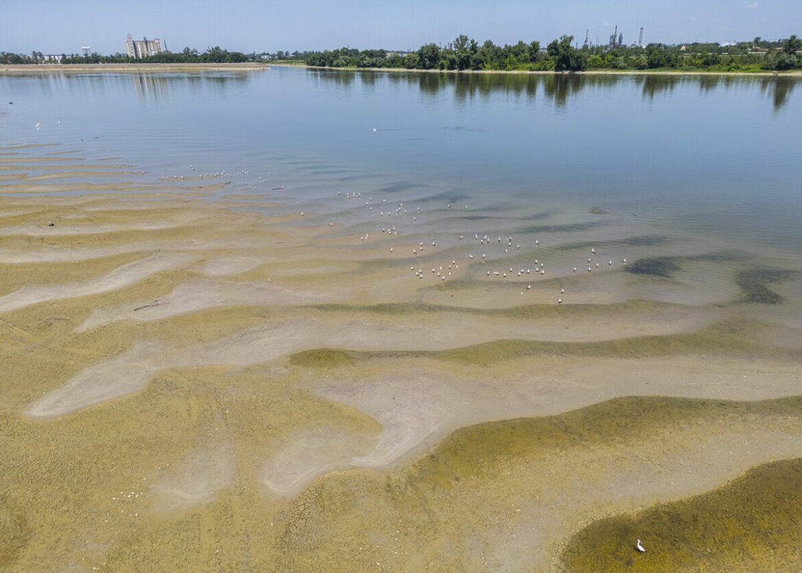 Donau is zo droog dat zandbanken in beeld komen - juli 2026