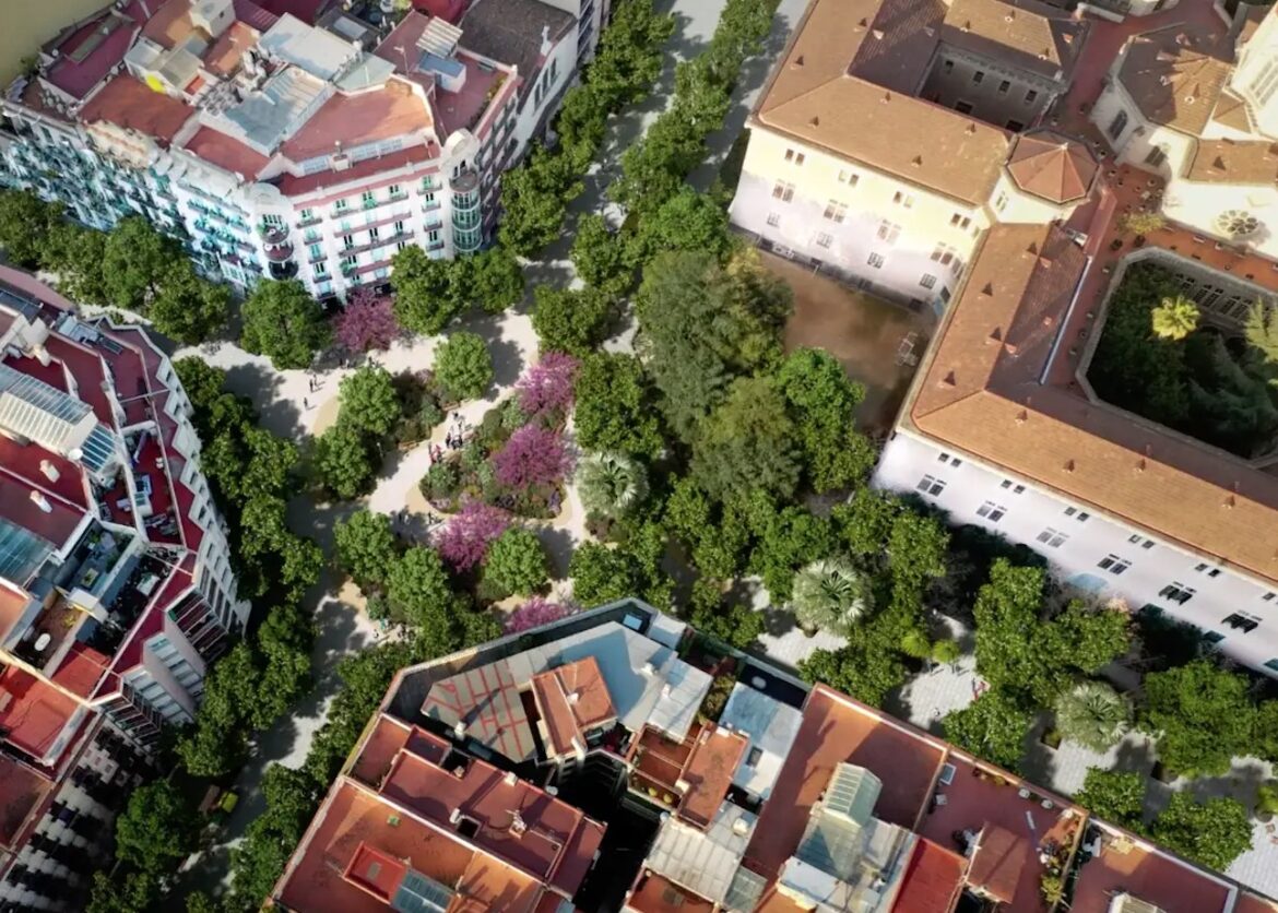 stadsbomen in Barcelona: oude bomen redden vooral levens, jonge- en heraanplant niet per se